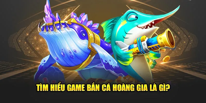 Hành trình săn tiền thưởng từ vương quốc cá