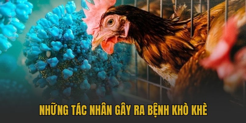 Những tác nhân gây ra bệnh khò khè