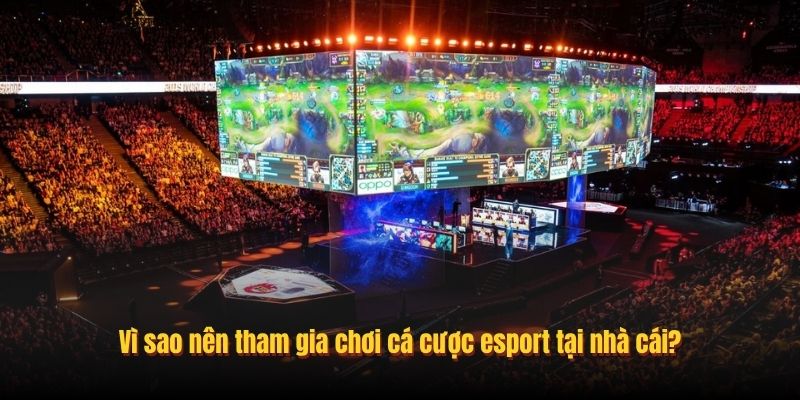 Vì sao nên tham gia chơi cá cược esport tại nhà cái?