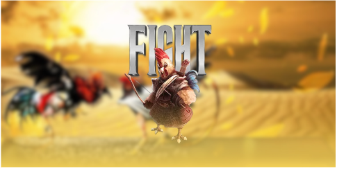 Các hình thức đá gà đặc sắc tại 8US