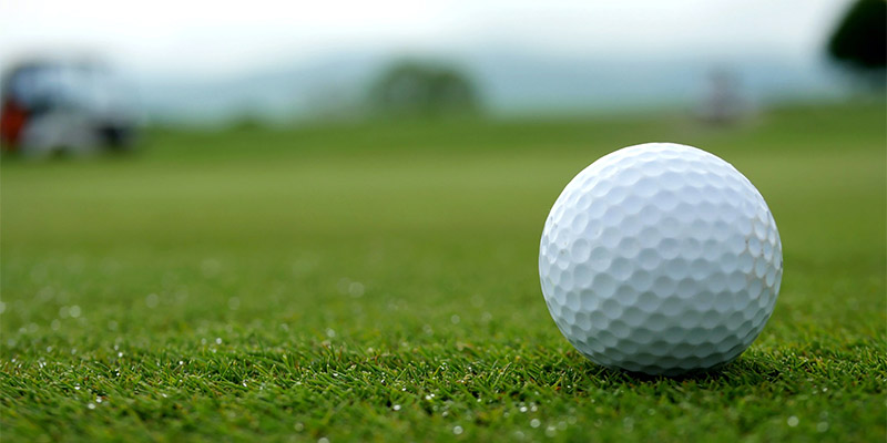 Phân tích kỹ lưỡng dữ liệu trận golf trước khi xuống tiền