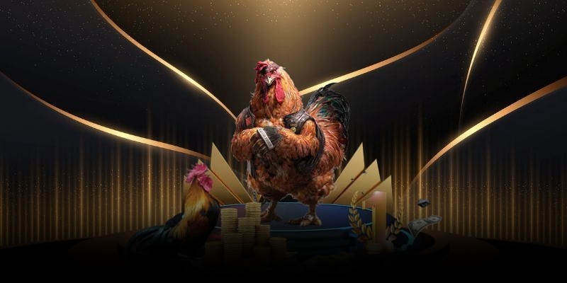 Tổng quan một số thông tin cơ bản về hình thức đá gà cựa đòn