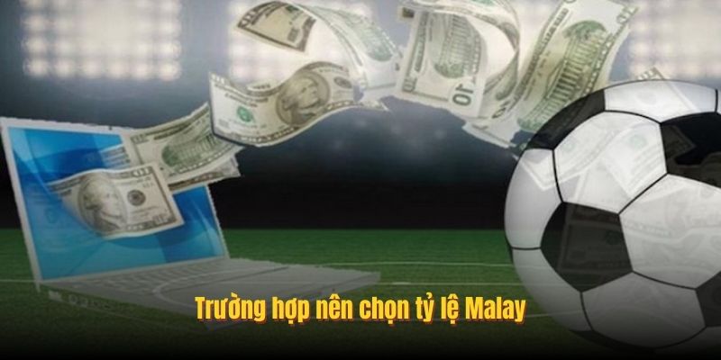 Trường hợp nên chọn tỷ lệ Malay