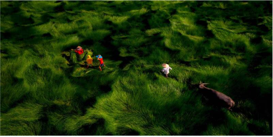 Ảnh chụp bằng máy ảnh DSLR