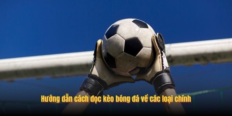Hướng dẫn cách đọc kèo bóng đá về các loại chính