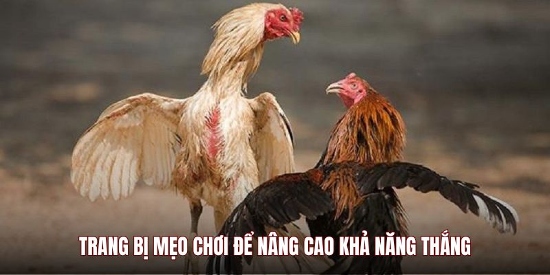 Trang bị mẹo chơi để nâng cao khả năng thắng