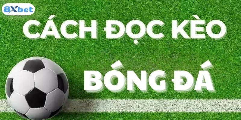 Hướng dẫn người mới nắm được cách đọc kèo