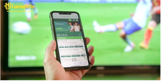 Vậy Luongson có uy tín không?