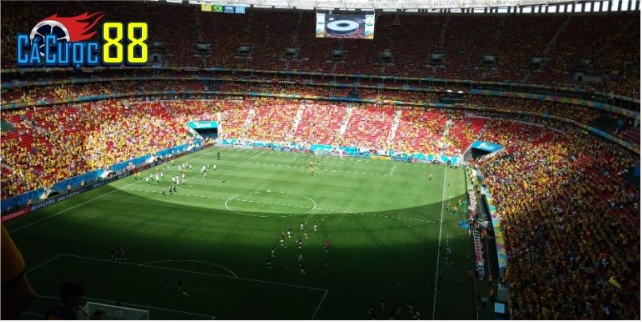 Cơ chế vận hành và quy trình đánh giá của trang web cá độ bóng đá