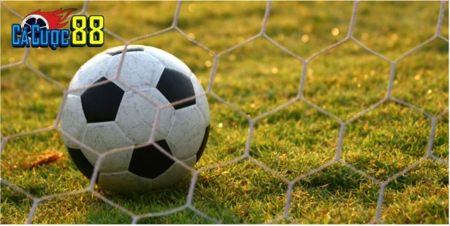 Những giá trị thực tế khi người chơi truy cập web cá độ bóng đá