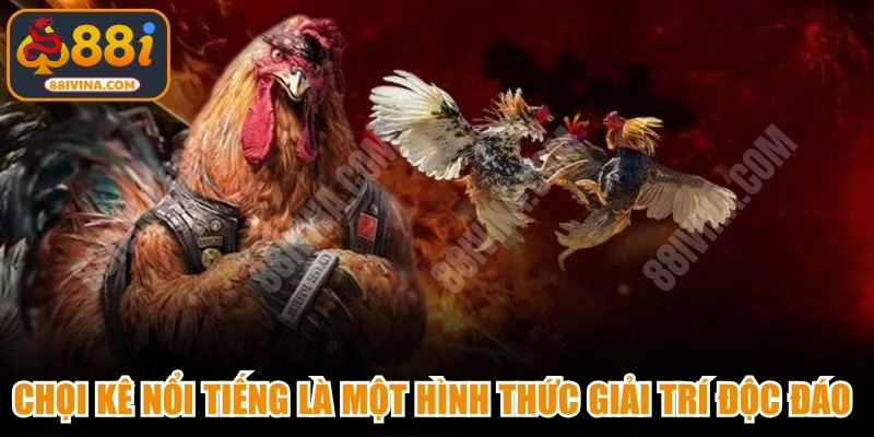 Chọi kê nổi tiếng là một hình thức giải trí độc đáo số 1