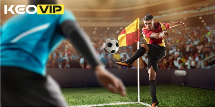 Khám phá tỷ lệ keo nha cai được cập nhật bởi Keovip.cc