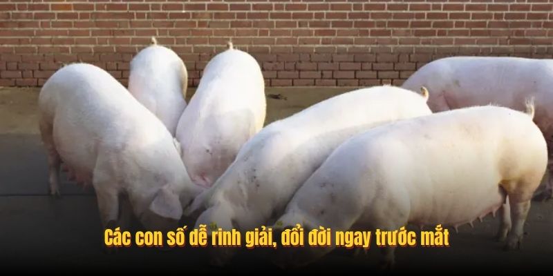 Các con số dễ rinh giải, đổi đời ngay trước mắt