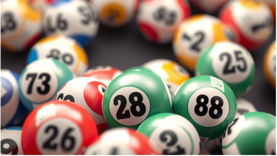 Săn Lô Gan Sắp Về