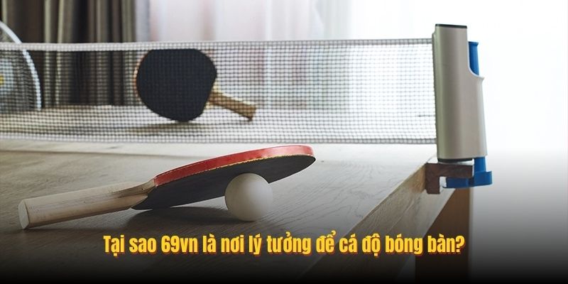 Tại sao Kingbet86 là nơi lý tưởng để cá độ bóng bàn?