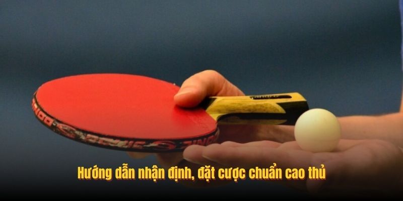 Hướng dẫn nhận định, đặt cược chuẩn cao thủ