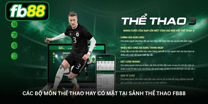 Các bộ môn thể thao hay có mặt tại sảnh thể thao FB88
