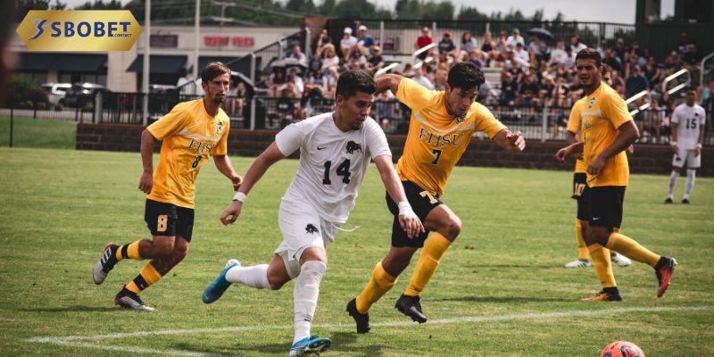 Các tiêu chí đánh giá website giải trí trực tuyến