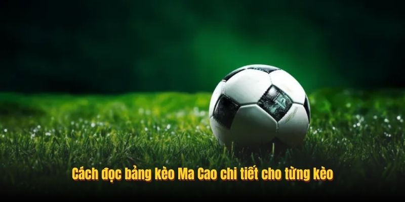 Cách đọc bảng kèo Ma Cao chi tiết cho từng kèo
