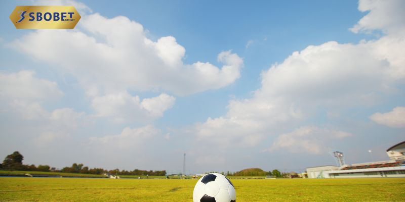 Cộng đồng tìm kiếm nền tảng giải trí đáng tin cậy