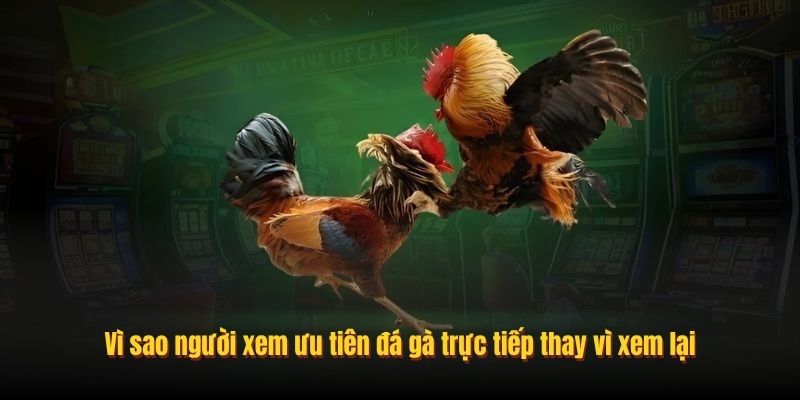 Vì sao người xem ưu tiên đá gà trực tiếp thay vì xem lại