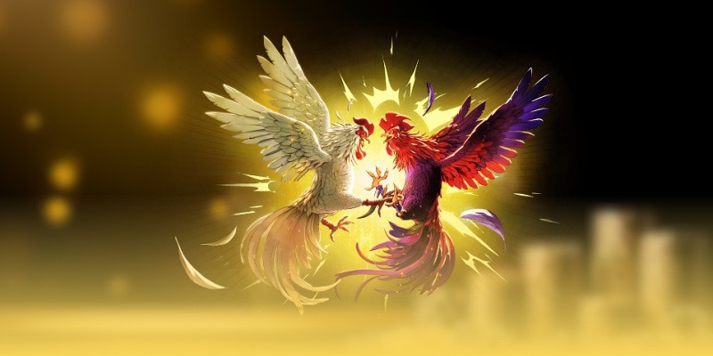 Yếu Tố May Rủi và Cá Cược