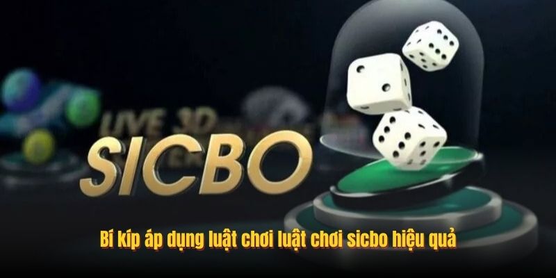Bí kíp áp dụng luật chơi luật chơi sicbo hiệu quả