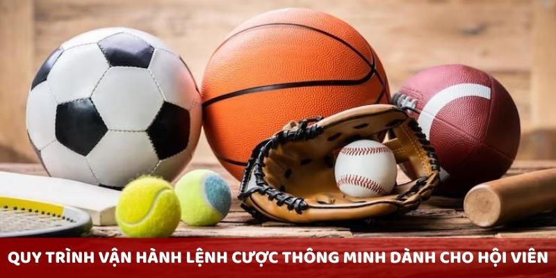 Quy trình vận hành lệnh cược thông minh dành cho hội viên