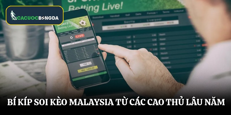 Bí kíp soi kèo Malaysia từ các cao thủ lâu năm