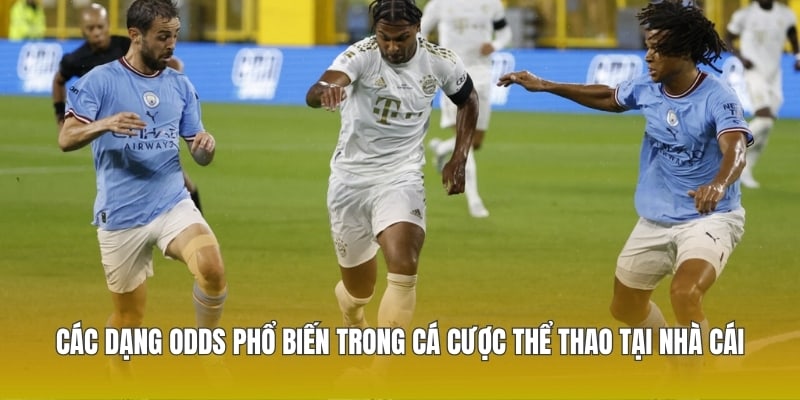 Các dạng odds phổ biến trong cá cược thể thao tại nhà cái