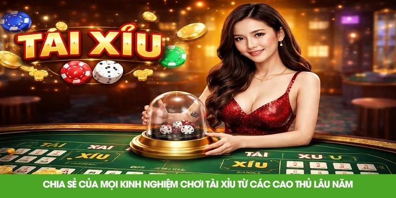 Chia sẻ của mọi kinh nghiệm chơi tài xỉu từ các cao thủ lâu năm