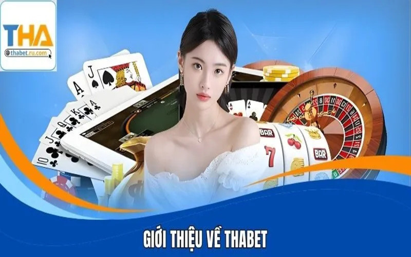 Lịch sử hình thành nên thương hiệu Thabet