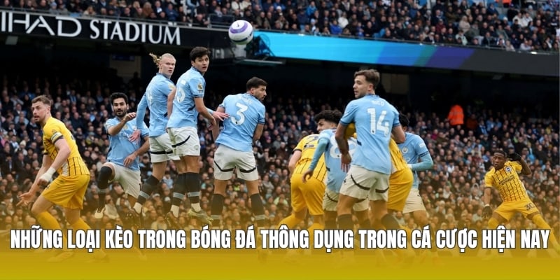 Những loại kèo trong bóng đá thông dụng trong cá cược hiện nay