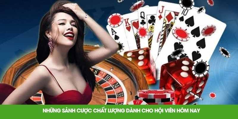 Những sảnh cược chất lượng dành cho hội viên hôm nay