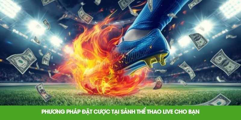 Phương pháp đặt cược tại sảnh thể thao live cho bạn