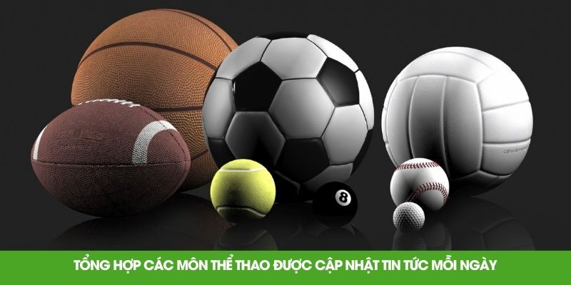 Tổng hợp các môn thể thao được cập nhật tin tức mỗi ngày