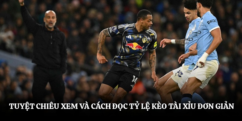 Tuyệt chiêu xem và cách đọc tỷ lệ kèo tài xỉu đơn giản