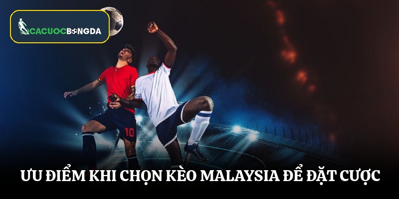Ưu điểm khi chọn kèo Malaysia để đặt cược
