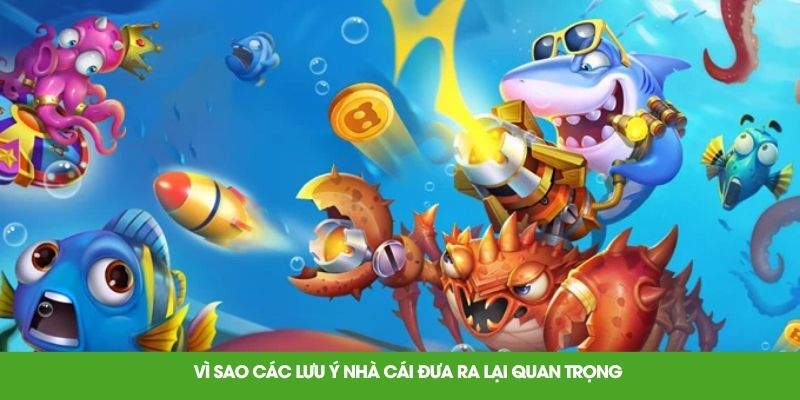 Vì sao các lưu ý nhà cái đưa ra lại quan trọng