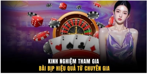 Kinh nghiệm tham gia bài bịp hiệu quả từ chuyên gia