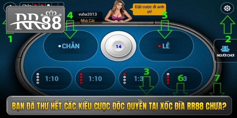 Bạn đã thử hết các kiểu cược độc quyền tại xóc đĩa RR88 chưa?