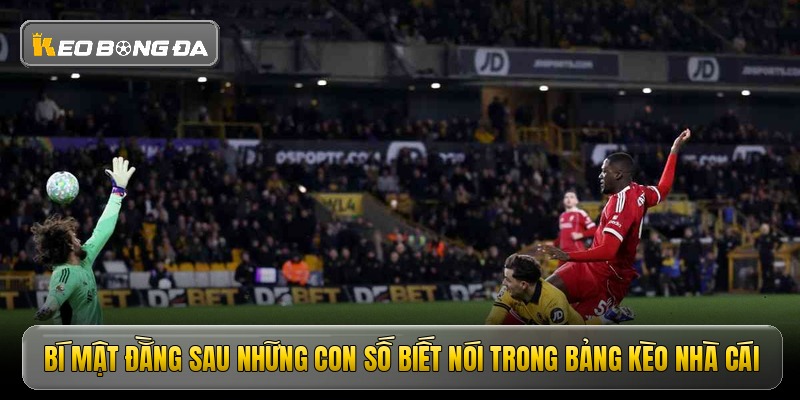 Bí mật đằng sau những con số biết nói trong bảng kèo nhà cái
