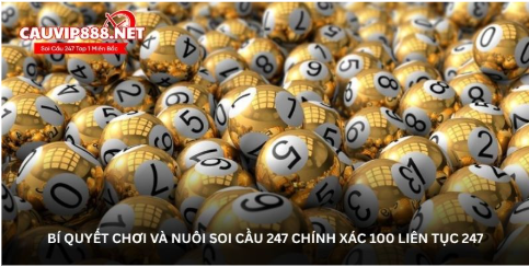 Bí quyết chơi và nuôi soi cầu 247 chính xác 100 liên tục 247