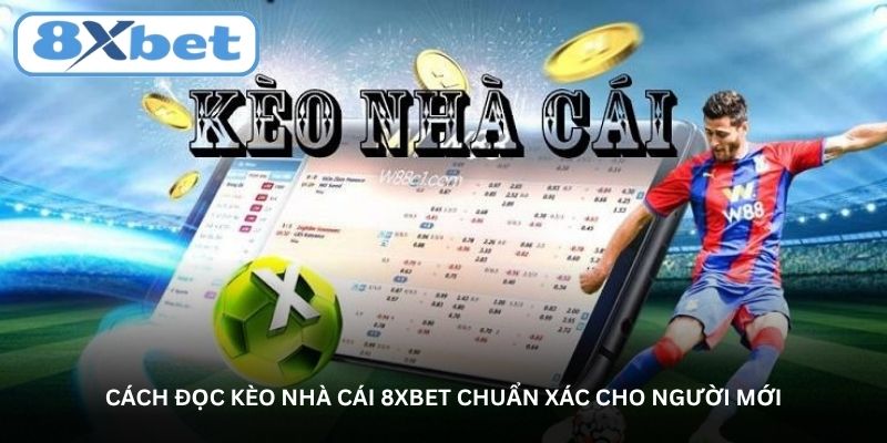 Cách đọc kèo nhà cái 8XBET chuẩn xác cho người mới