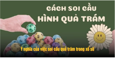 Ý nghĩa của việc soi cầu quả trám trong xổ số