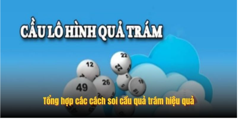 Tổng hợp các cách soi cầu quả trám hiệu quả
