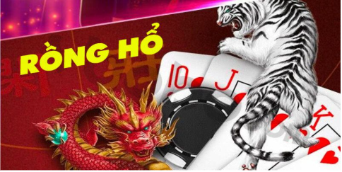 Cách đọc luật Rồng Hổ trước khi vào bàn cược
