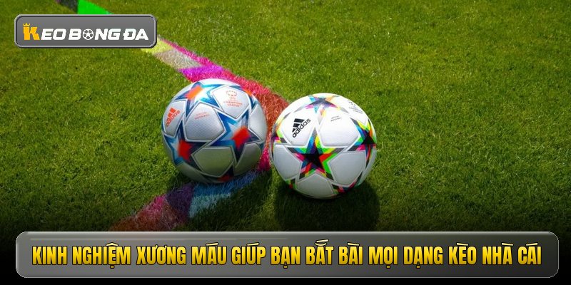 Kinh nghiệm xương máu giúp bạn bắt bài mọi dạng kèo nhà cái