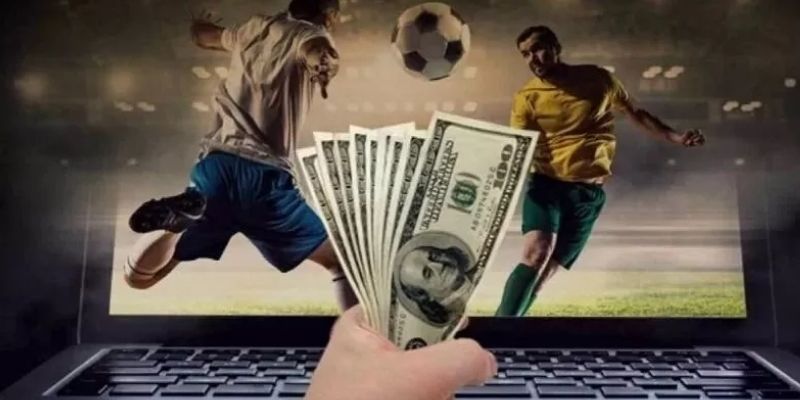 Các hình thái lựa chọn tỷ lệ bóng đá