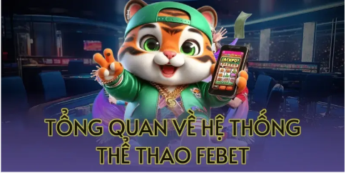 Tổng Quan Về Hệ Thống Thể Thao Febet